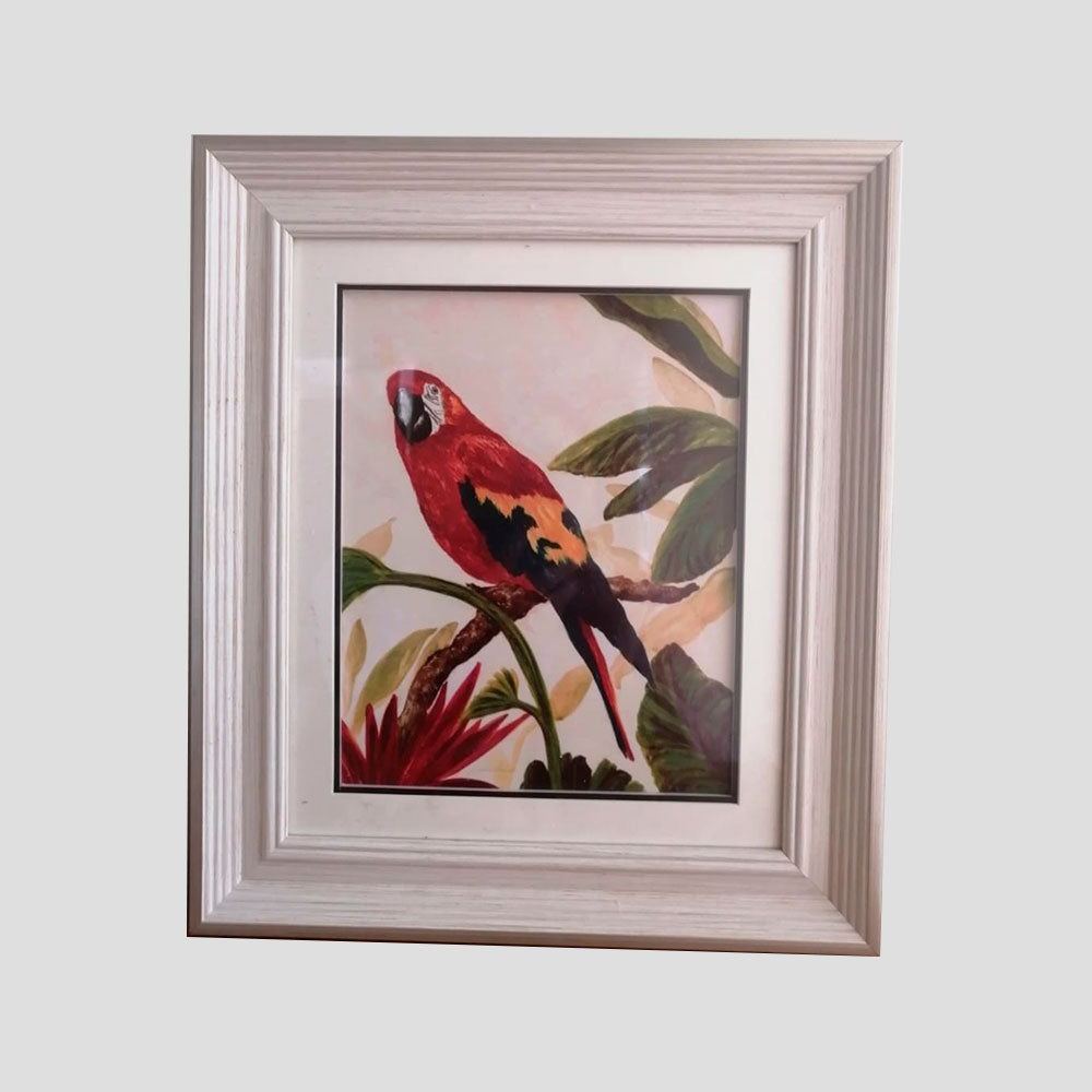 CUADRO LÁMINA LORO ROJO ENMARCADO