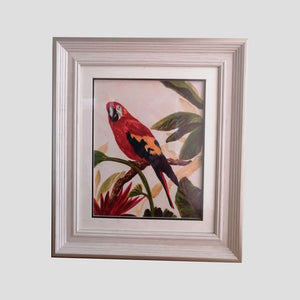 CUADRO LÁMINA LORO ROJO ENMARCADO