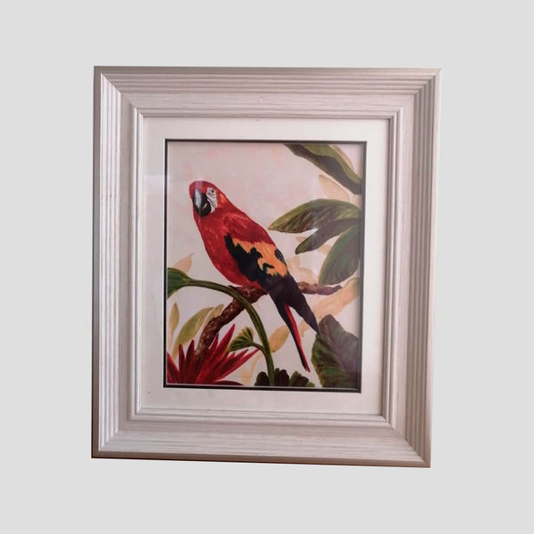 CUADRO LÁMINA LORO ROJO ENMARCADO