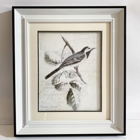 CUADRO LÁMINA VINTAGE PÁJARO GRIS ENMARCADO