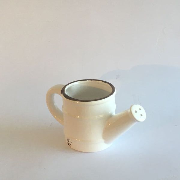 REGADERA DECAPADA PEQUEÑA MACETERO 9 X 8,5 CMS