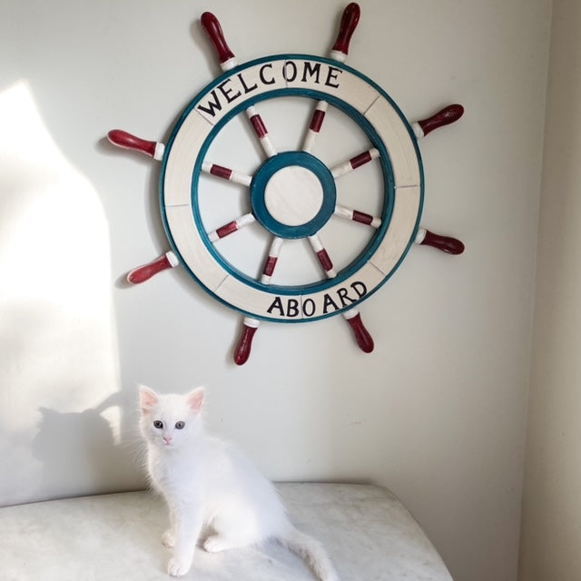 TIMÓN MURAL DE MADERA BLANCO AZUL 63 CM